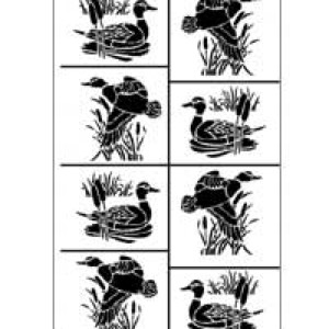 20-0264 - Ducks