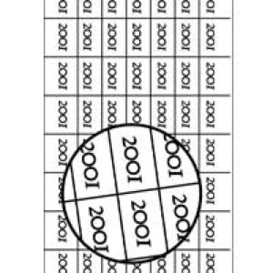 20-0571 - Year 2001