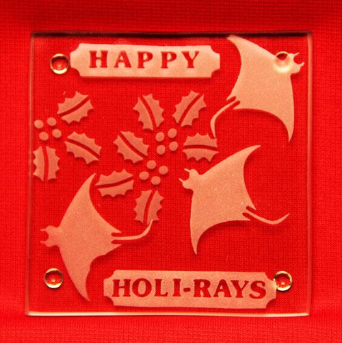 'Tis the SEAson-Happy Holi-Rays!